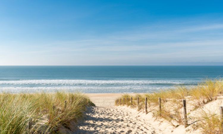 Access to the sandy beach through the dunes at cap ferret, arcachon bay