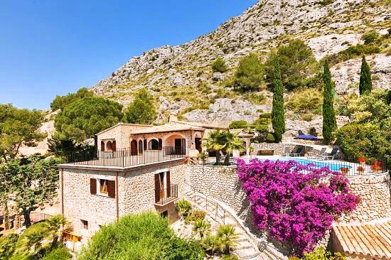 Ajuga Fonto - Mallorca Insider's guide to Mallorca