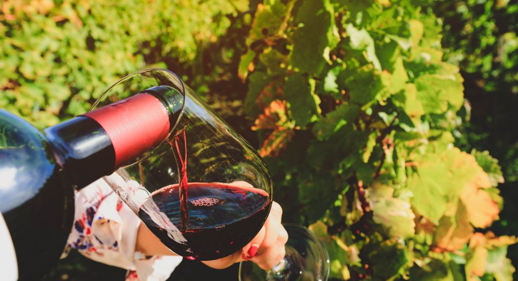 Glass and bottle of red wine