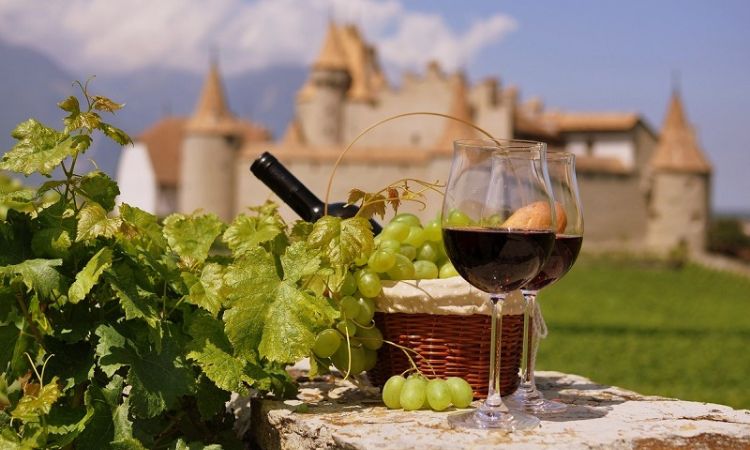 Bergerac Wine Tours