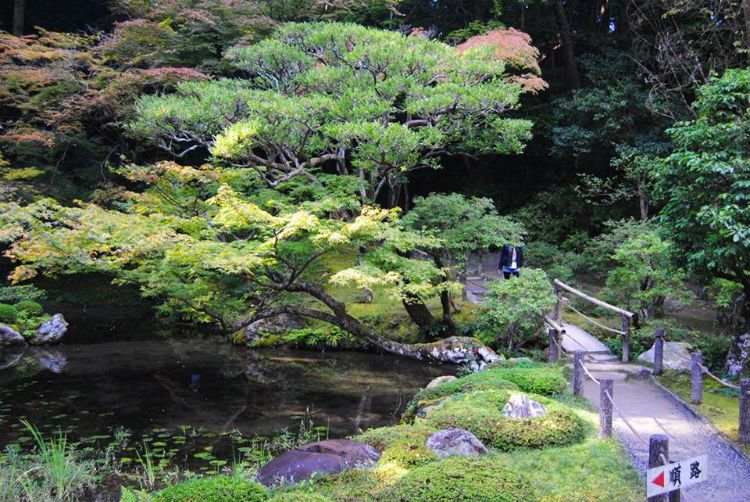 Parc Oriental de Maulévrier - Loire Valley