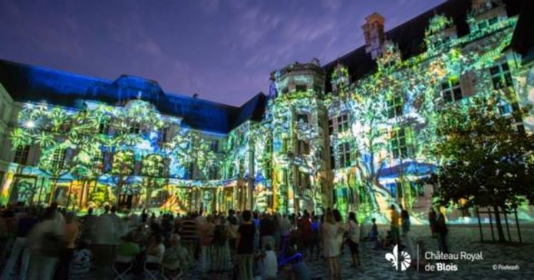 Château Royal de Blois - Loire Valley