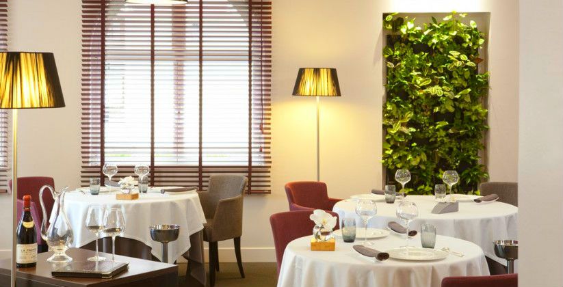 Restaurant Frédéric Doucet - Burgundy 