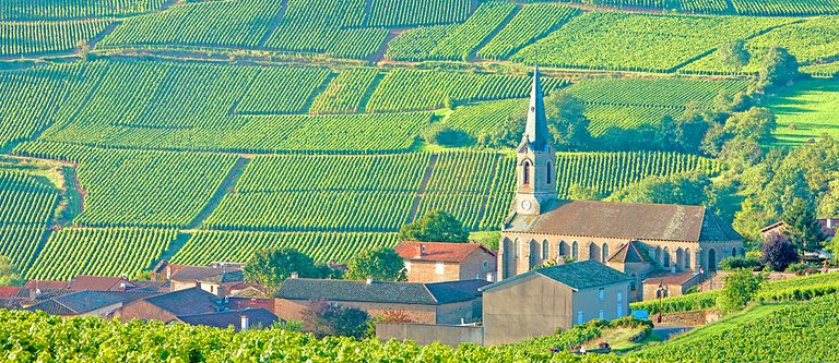 Burgundy Travel Guide - Oliver's Travels