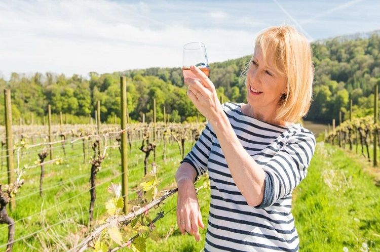 Sharpham Wine and Cheese - Devon