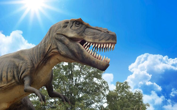 Tyrannosaurus Rex - iStock