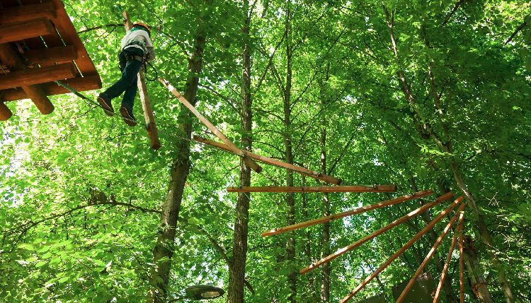 Kid in Tree-Top adventure Park iStock