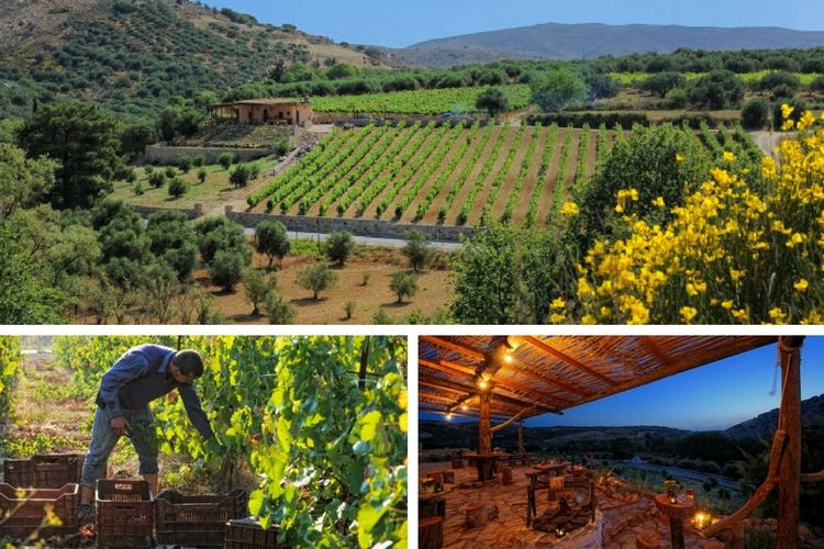 Vintage Routes Crete, Greece