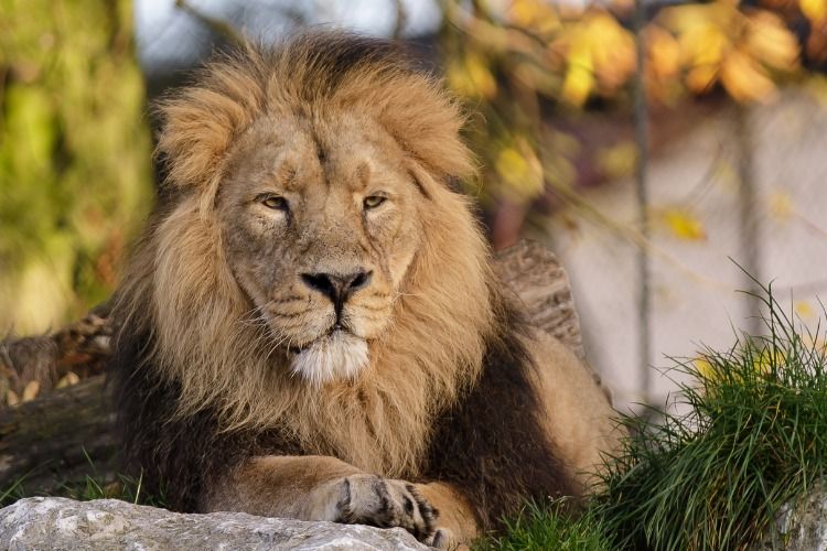 things to do with kids in Puglia