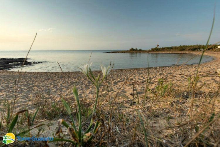 things to do with kids in Puglia