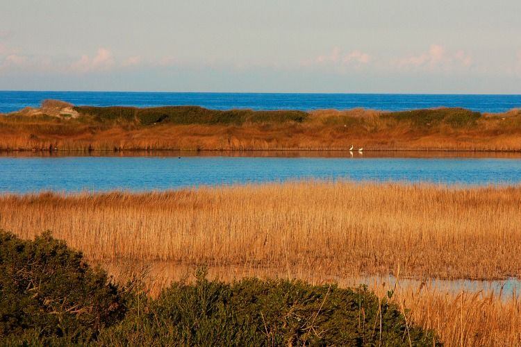 things to do with kids in Puglia