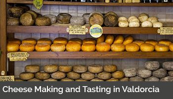 Cheese Making and Tasting in Valdorcia
