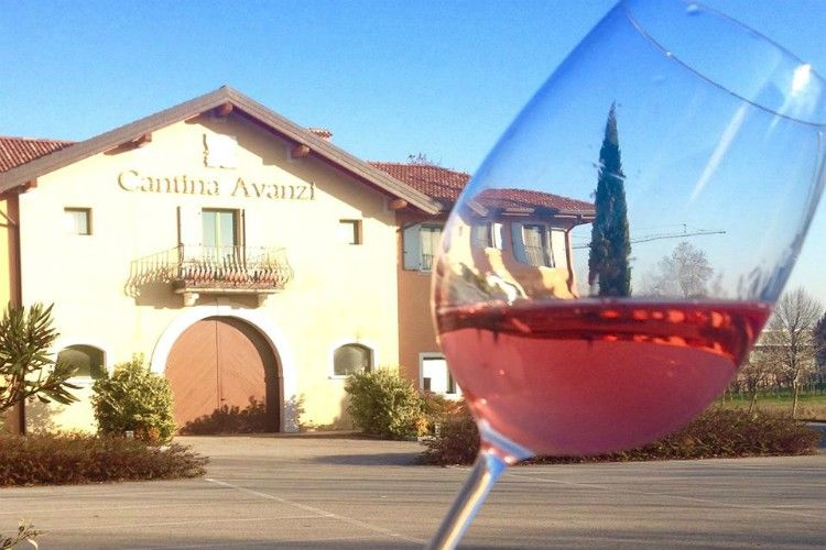 Cantina Avanzi, Lake Garda