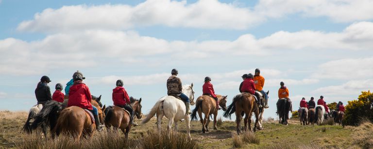 CHICKS retreat feature image
