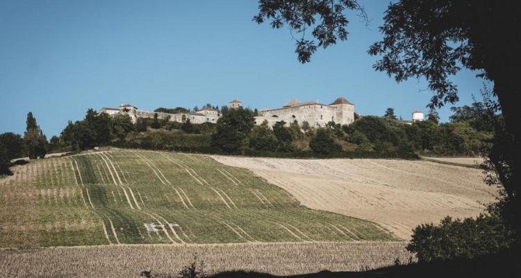 The Exclusive Village