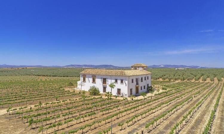 Cortijo Don Cristobal