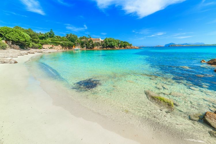 beaches in sardinia | blue and turquoise water, sandy beach and green trees under clear skies | Spiaggia del Principe
