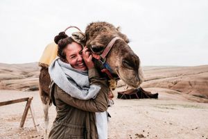 Annika Ziehen - The Midnight Blue Elephant