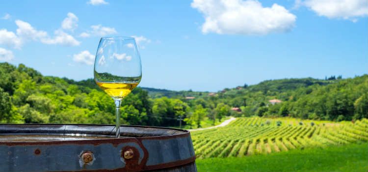 wine tasting dubrovnik food