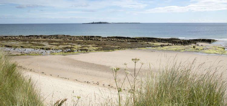 best beaches in northumberland