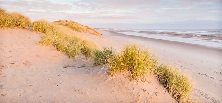 best beaches in northumberland druridge bay