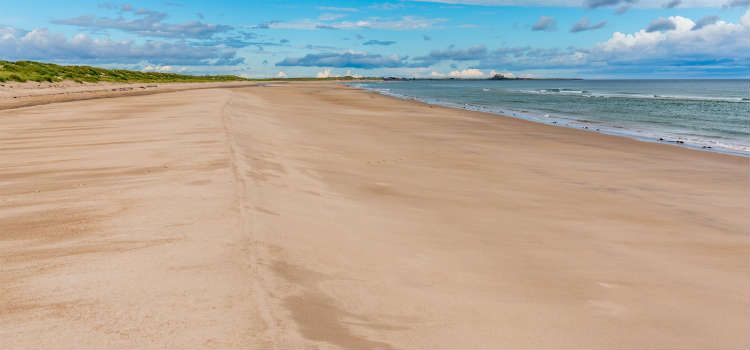 best beaches in northumberland ross sands