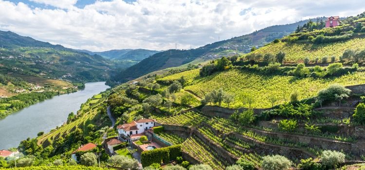 Douro valley