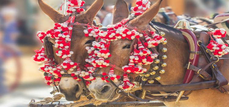 Feria horses fiesta