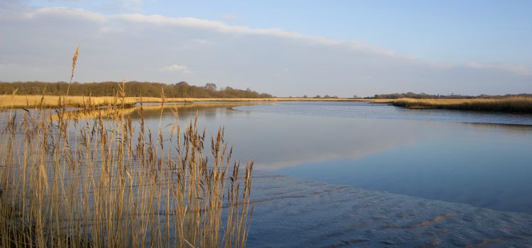 Snape Suffolk