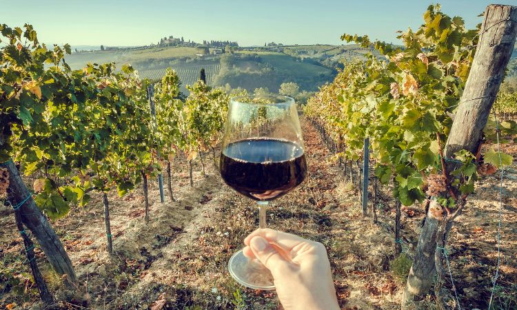 wine-tasting in Italy