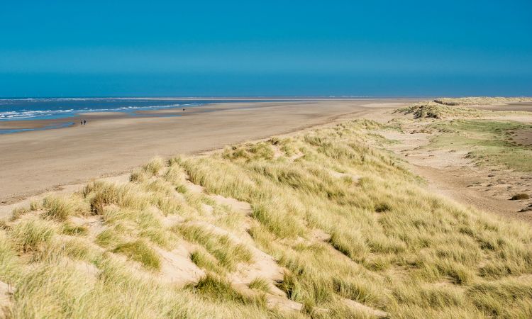 Holkham Beach and Nature Reserve