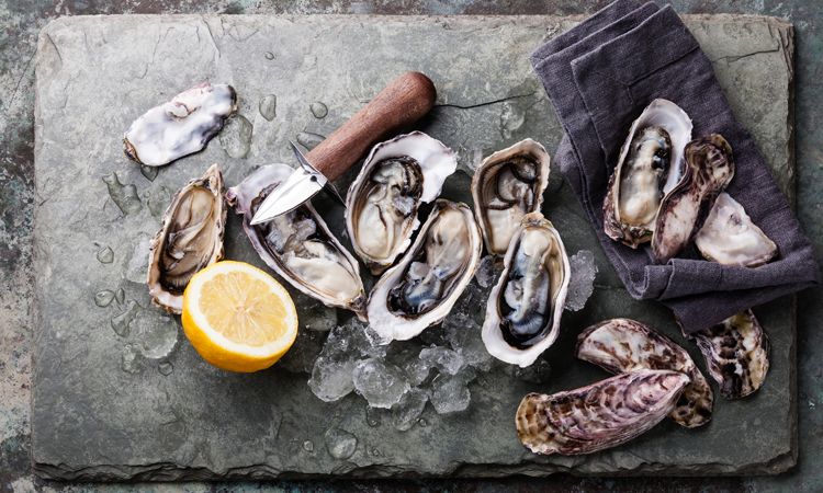 Oysters