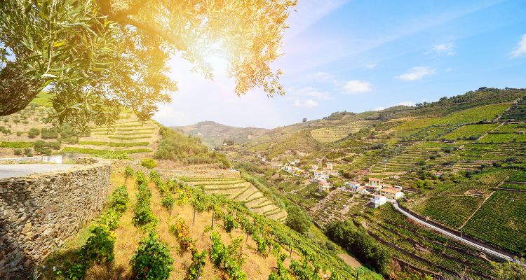 Douro, Portugal