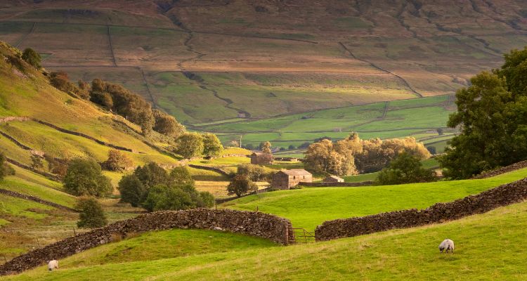 Yorkshire Dales