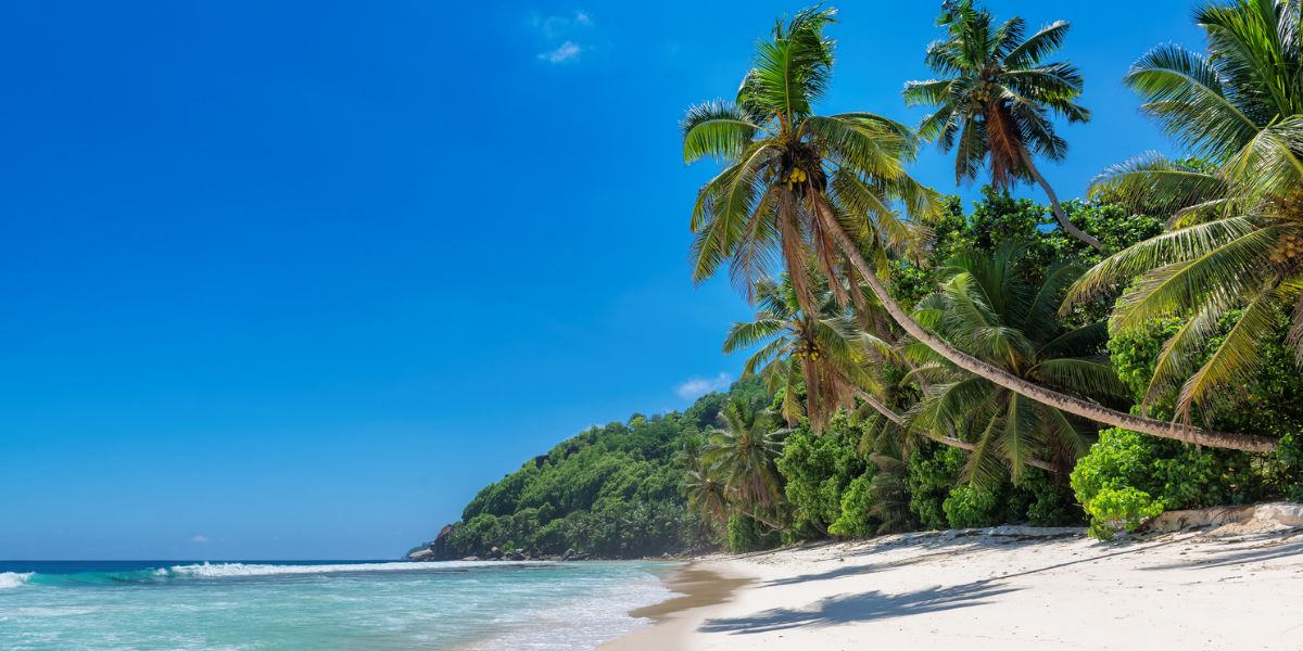 Jamaica Travel Guide - Top Things To Do, Eat and See | Oliver's