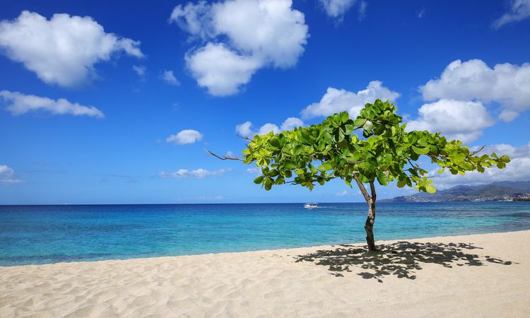 Magazine Beach on Grenada