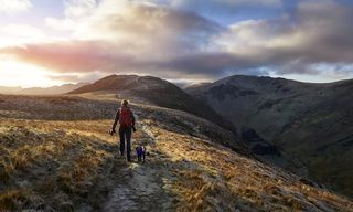 Dog walking