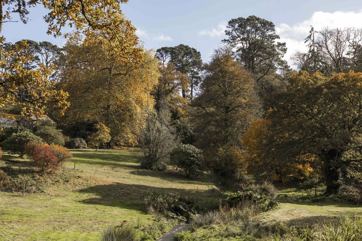Lostwithiel Stewardry