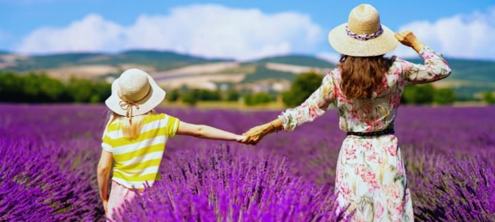 Family walking through flowers in Provence