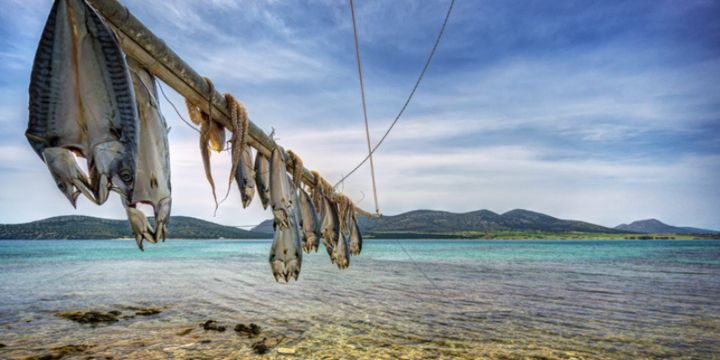 Fresh fish hanging from a pole