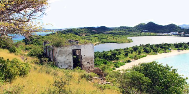 Wallings Nature Reserve, Antigua