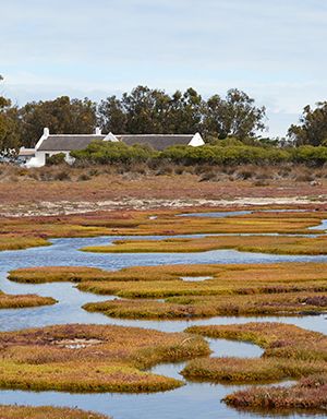 West Coast National Park