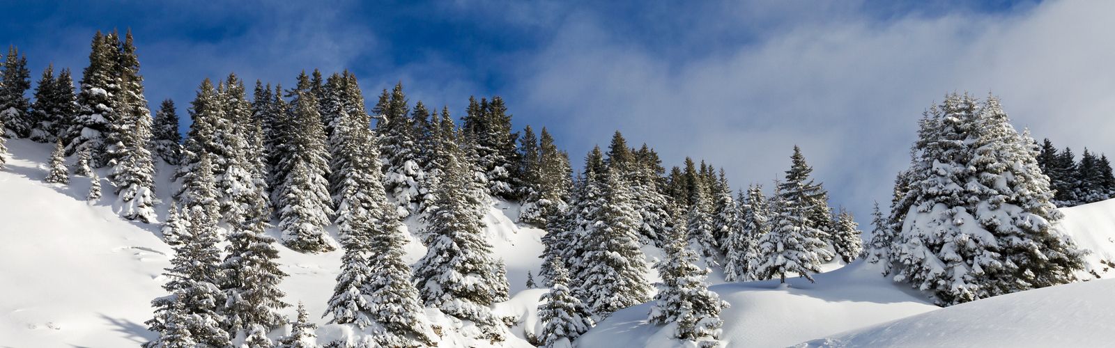 Snowboard Track
