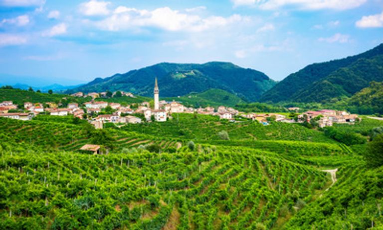 Prosecco Region