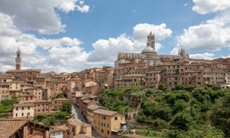 Panoramic view of Siena and Siena Cathedral