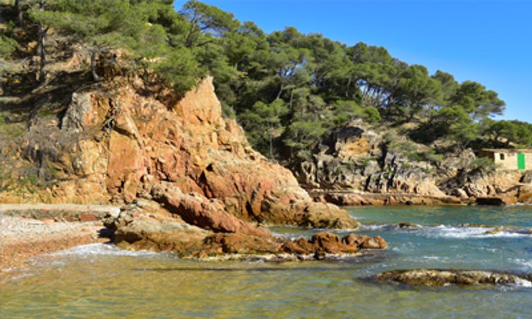 Platja de Tamariu