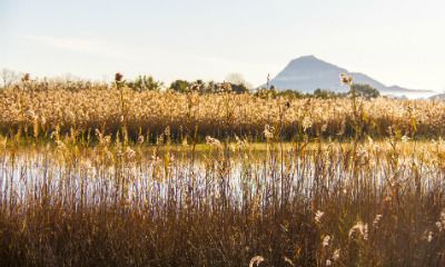 Montgó Natural Park