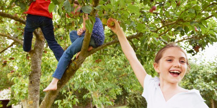 Children picking apples