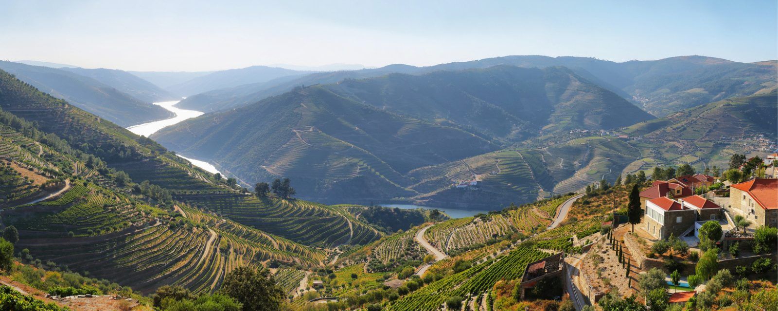 Panoramic view of Douro Valley, Portugal