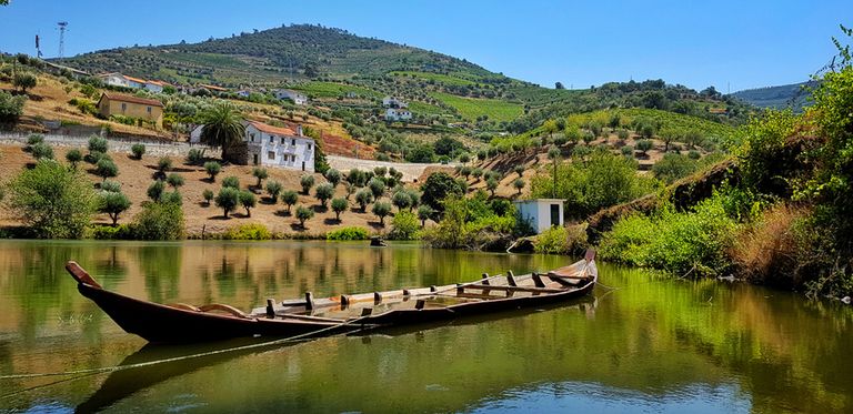 River Boat Near Pinhao In The River On A Sunny Day